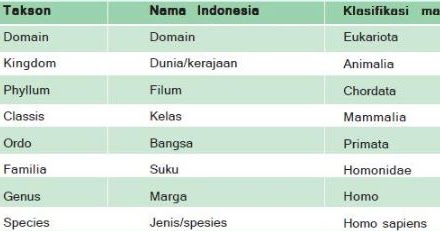 Perhatikan tingkatan  takson  mahluk hidup berikut Urutan 