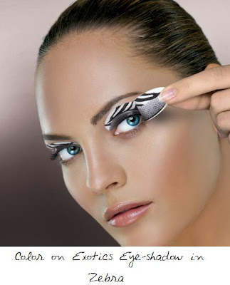 2010 how to do exotic makeup exotic makeup ideas exotic makeup ideas