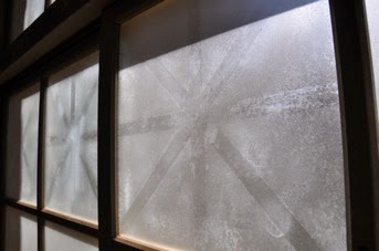 DSC 0041