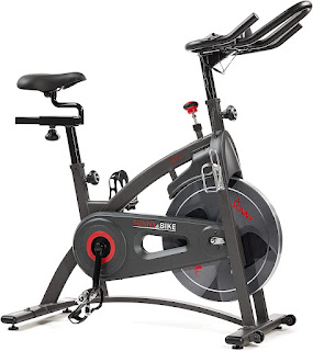 Sunny Health & Fitness Smart SF-B1877 Indoor Cycle Spin Bike with SunnyFit App, image, review features and specifications compared with Endurance SF-B1877