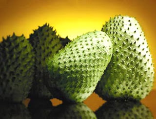 soursop wallpaper