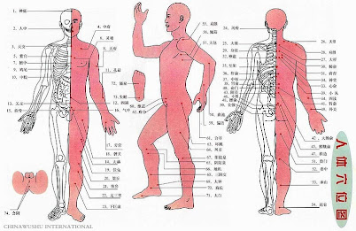 Resultado de imagem para pontos em todas as areas do corpo
