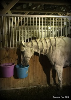 Pretty braids
