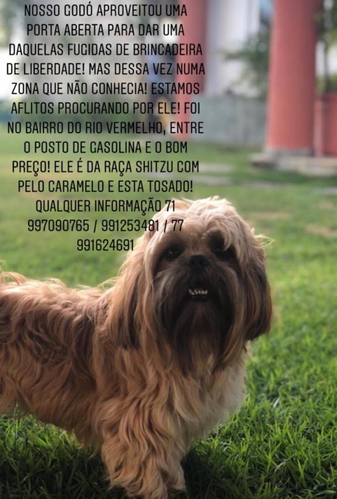 Vamos ajudar a encontrar Godó