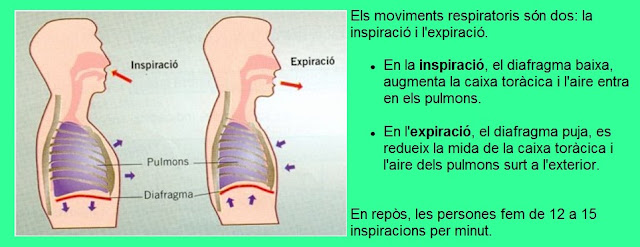 Imagen relacionada