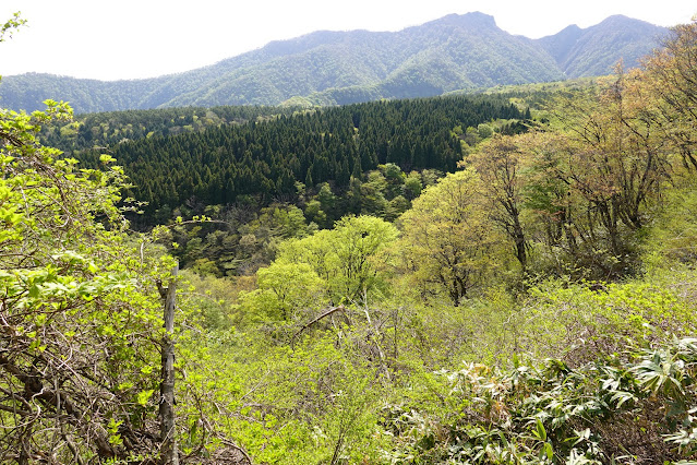 鳥取県西伯郡大山町豊房 香取からの眺望