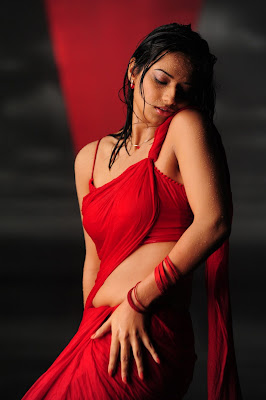 Isha Chawla Hot Wet in Red Saree Photos