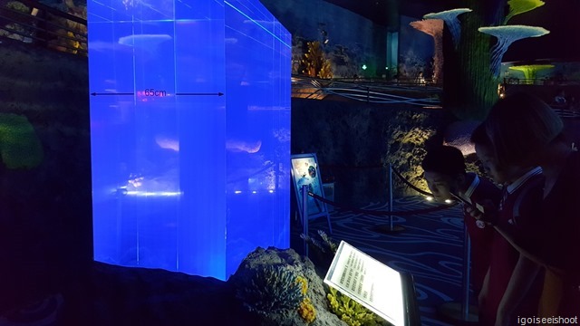 The giant aquarium requires 65 cm thick acrylic panels to withstand the tremendous water pressures imposed on the huge viewing surface. Ocean Kingdom in Zhuhai