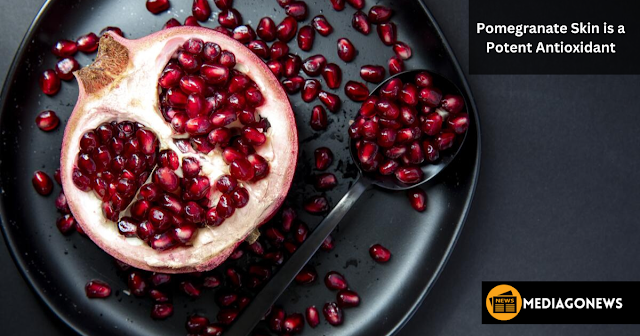 Is pomegranate skin good for ulcer