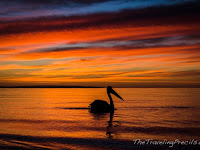 Ultimate Experience at Kangaroo Island 