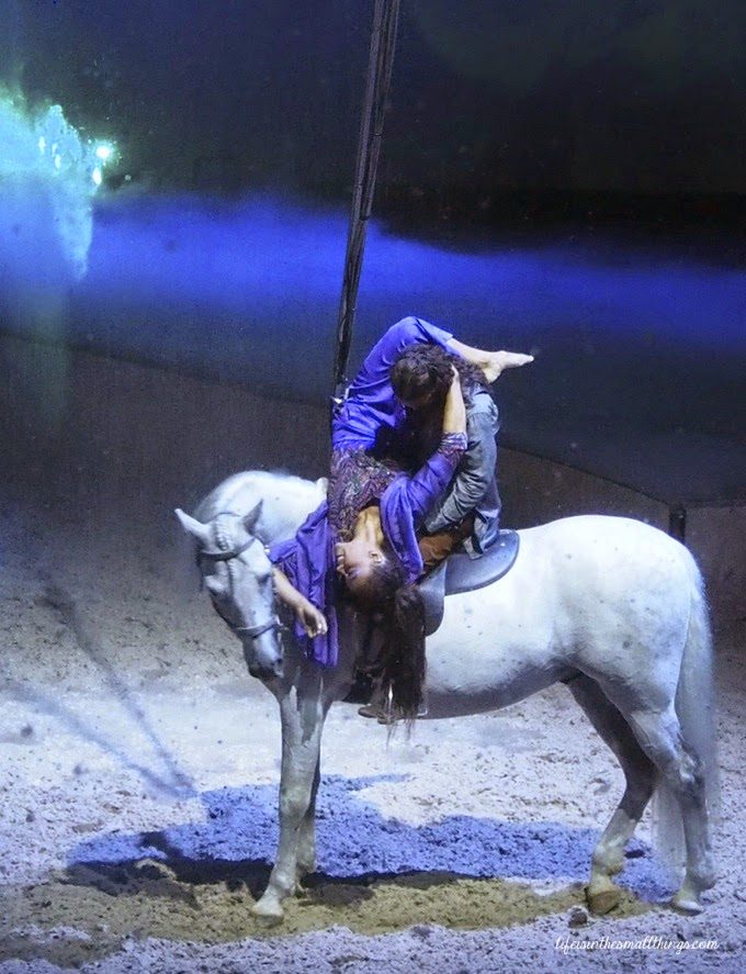 Cavalia9
