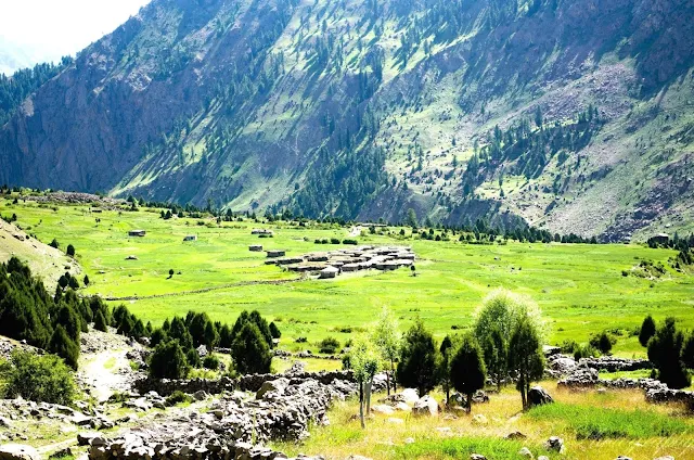 Discover the Beauty and Adventure of Rupal Valley Astore, Gilgit-Baltistan, Pakistan