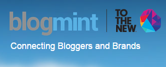 REVIEW Blogmint