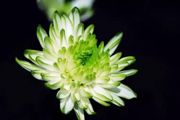 clip_image004
