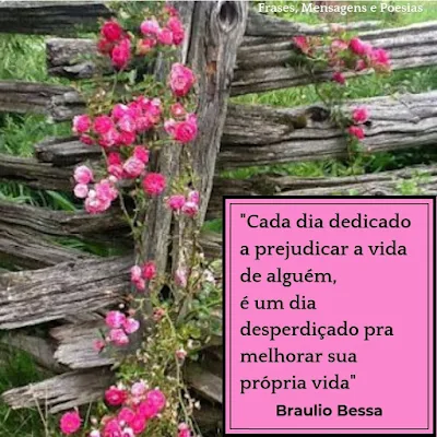 Frase de Bráulio Bessa