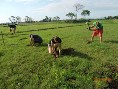 Meghauli Eco-Villagel Year 2013