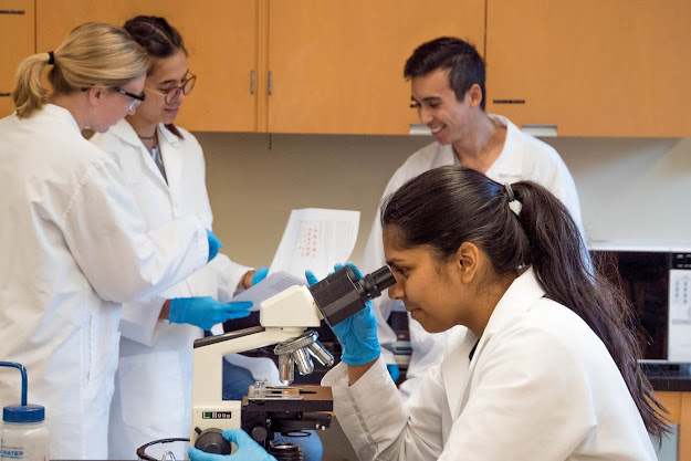 Woman in lab-coat peers through microscope. Other scientists stand in the background reviewing a publication.