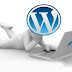 WordPress Developer Sydney clears all your doubts of acquiring the web services