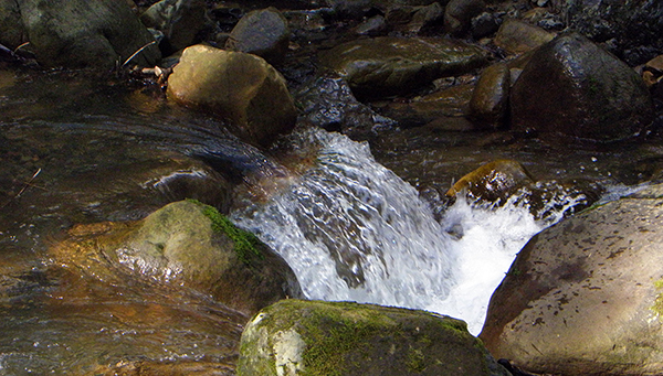 Tiny falls as water rushes over rocks