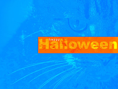 Halloween Cats