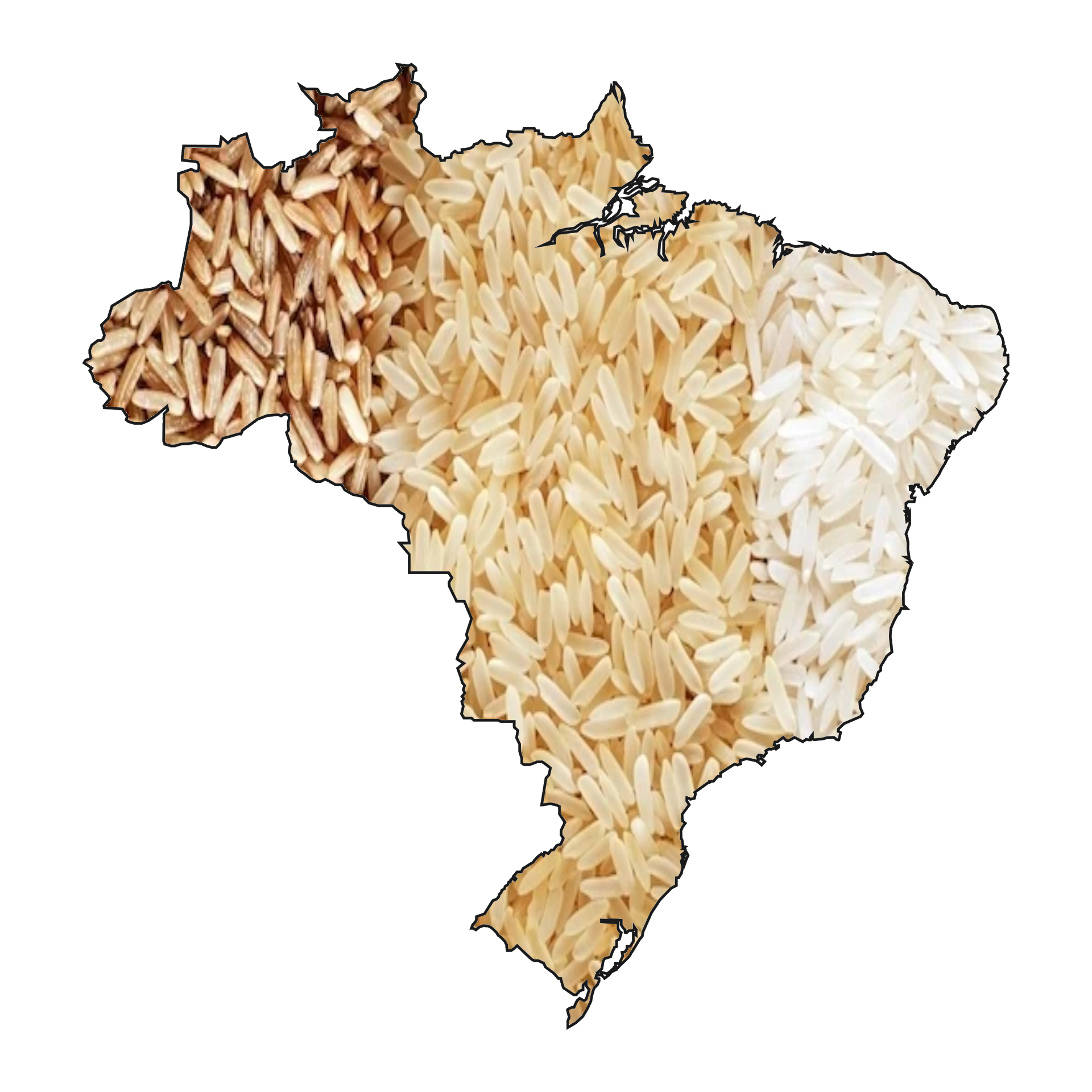 Os Maiores Produtores de Arroz do Brasil