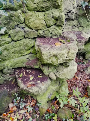 Kilmainham Friary, Laois