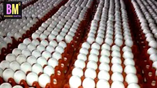  Egg Wholesale Business, Egg Business Plan in Hindi, start egg production in hindi, kaise suru kare ande ka business, Egg selling, mk mazumdar, business ideas, 