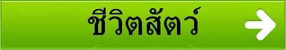 อันดับสัตว์, สิบอันดับสัตว์, สารคดีสัตว์โลก, ชีวิตสัตว์โลก