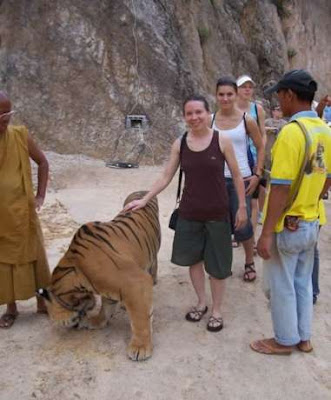 Tiger Temple Thailand 06