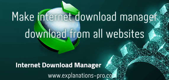 Make internet download manager download from all websites