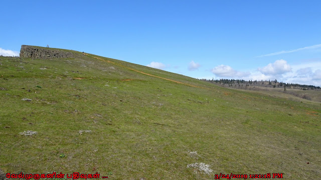 Coyote Wall hike on Washington Syncline Trail