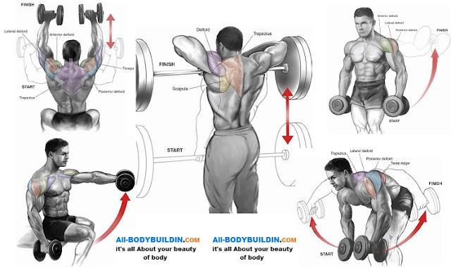 Top 5 Shoulder Workouts For Mass ~ multiple fitness