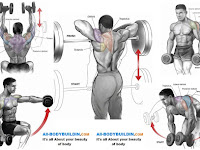 34+ Best Arm And Shoulder Workout With Dumbbells Gif