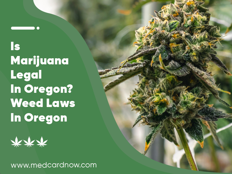 Med Card Now: Is Marijuana Legal in Oregon? Weed Laws in Oregon