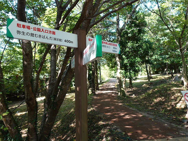 弥生の森遊歩道