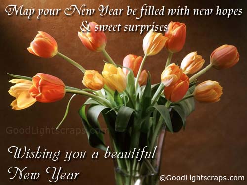 happy new year wishes quotes. HAPPY NEWYEAR 2011 WISHES