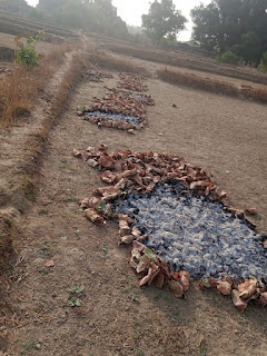 नक्सलियों ने तेंदूपत्ता फड़ में लगाई आग, एसपी ने कहा नक्सली हताश हो चुके हैं