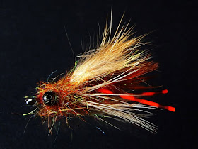 Roughfisher's Ruffian  carp fly