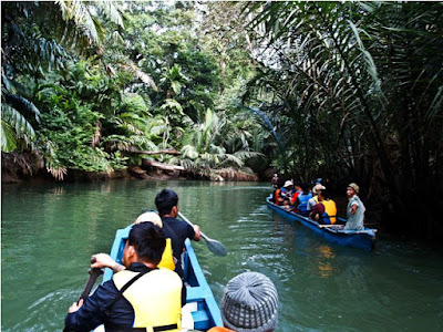Menyusuri Sungai Cigenter di Taman Nasional Ujung Kulon