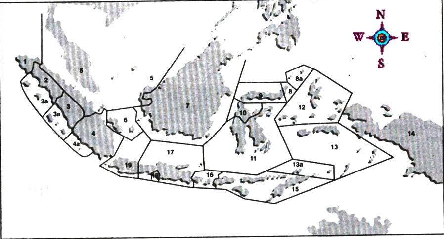 SukuSuku Bangsa di Indonesia