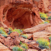 WOW Red Rock Desert Escape