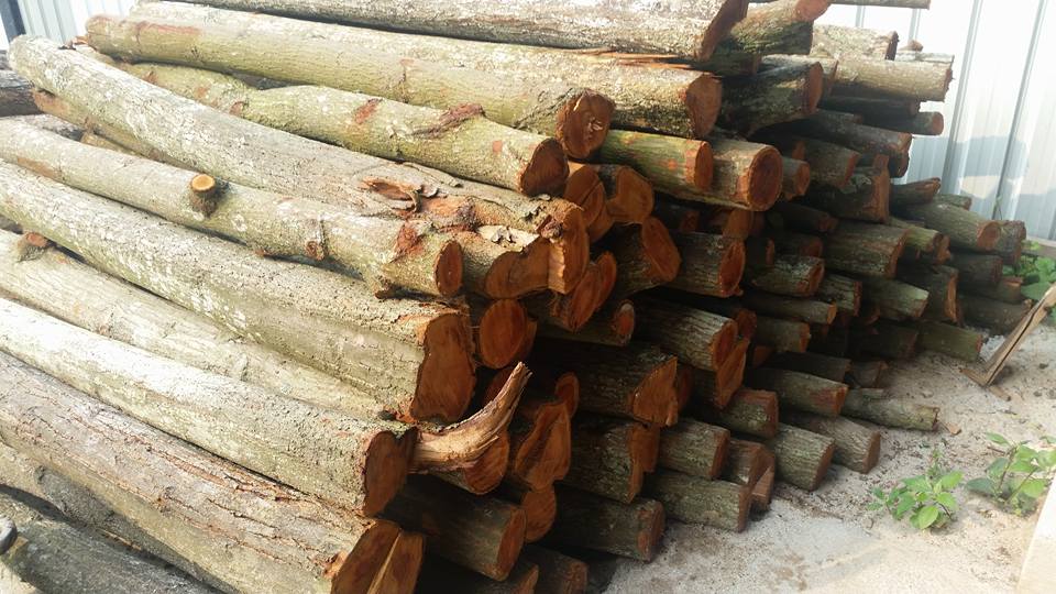  Kayu  Warisan Malaysia Stock Stock Kayu 