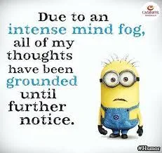 Minio