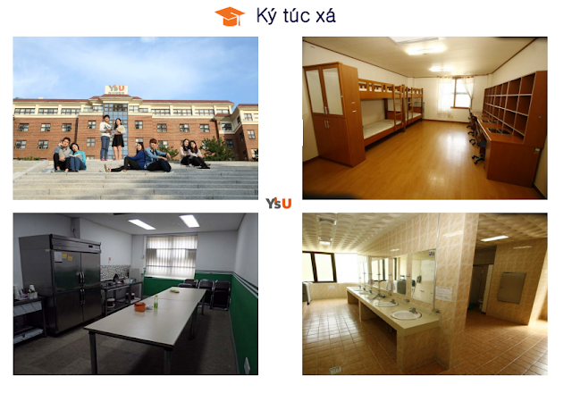 Ký túc xá trường đại học Youngsan Hàn Quốc