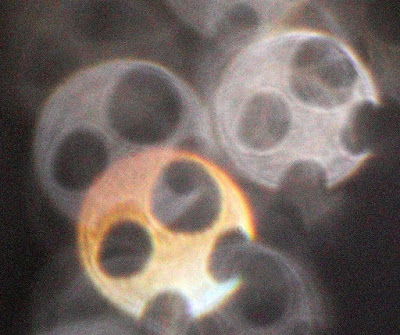 orb with four holes