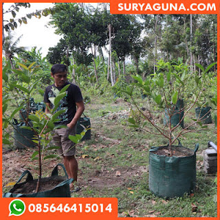 Planter Bag 200 Liter Hijau