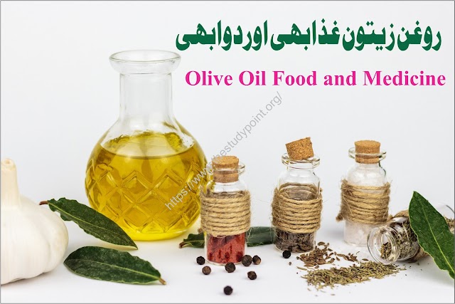 Olive Oil Food and Medicine|روغن زیتون غذابھی اوردوابھی
