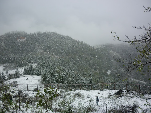 The seducing beauty of Sapa in winter