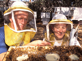 Learning beekeeping