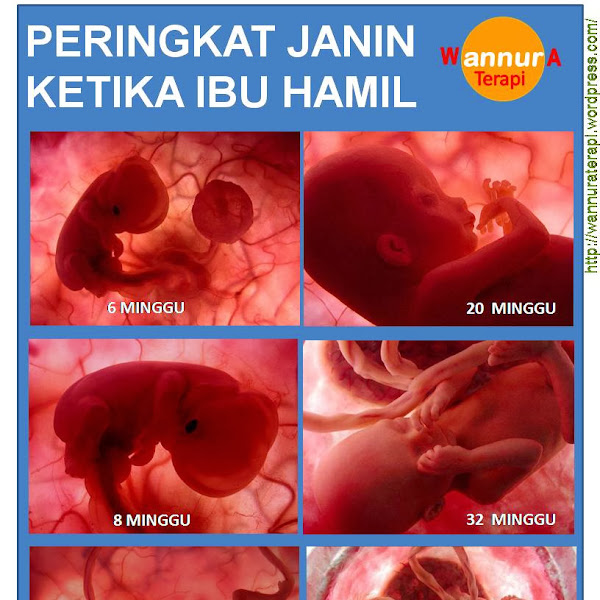 Catatan Tiga: Pregnancy :)